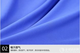 50D消光针织布高档服装全涤里布 针织辅料多色现货